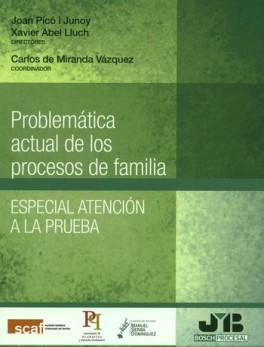 PROBLEMATICA ACTUAL DE LOS PROCESOS DE FAMILIA. ESPECIAL ATENCION A LA PRUEBA