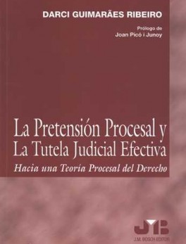 PRETENSION PROCESAL Y LA TUTELA JUDICIAL EFECTIVA. HACIA UNA TEORIA PROCESAL DEL DERECHO, LA
