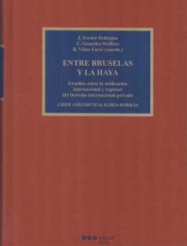 ENTRE BRUSELAS Y LA HAYA ESTUDIOS SOBRE LA UNIFICACION INTERNACIONAL Y REGIONAL DEL DERECHO INTERNACIONAL