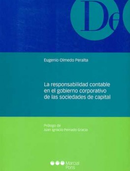 RESPONSABILIDAD CONTABLE EN EL GOBIERNO CORPORATIVO DE LAS SOCIEDADES DE CAPITAL, LA