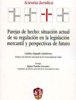 PAREJAS DE HECHO SITUACION ACTUAL DE SU REGULACION EN LA LEGISLACION MERCANTIL Y PERSPECTIVAS DE FUTURO