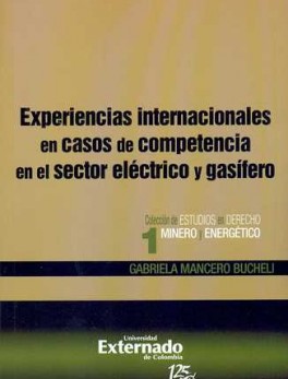 EXPERIENCIAS INTERNACIONALES EN CASOS DE COMPETENCIA EN EL SECTOR ELECTRICO Y GASIFERO