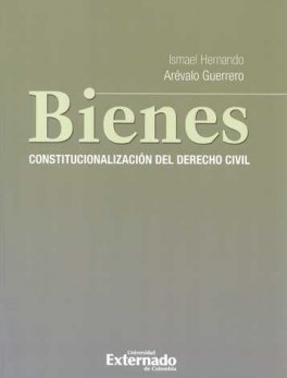 BIENES CONSTITUCIONALIZACION DEL DERECHO CIVIL