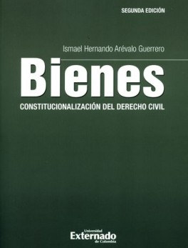 BIENES CONSTITUCIONALIZACION (2ª ED) DEL DERECHO CIVIL
