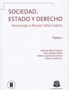 SOCIEDAD ESTADO Y DERECHO (TOMO I) HOMENAJE A ALVARO TAFUR GALVIS