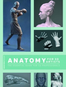 Anatomy for 3D Artists. The Essential Guide for CG Professionals