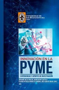 Innovación en la Pyme. Experiencias y Aportes de Investigación